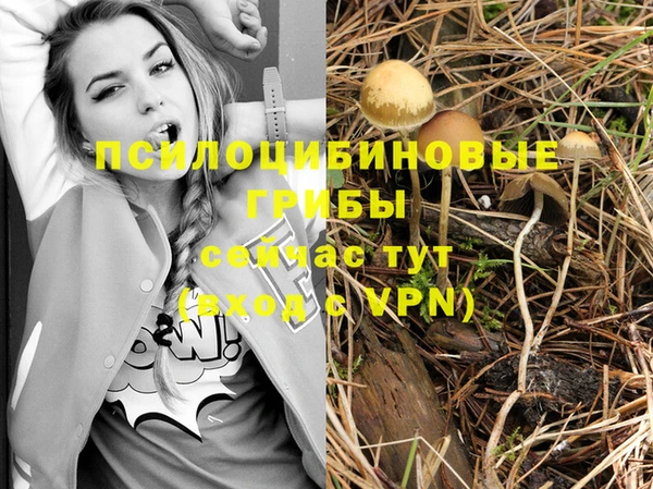 бутират Михайлов