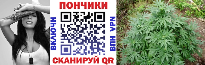 Марихуана план  Нальчик 